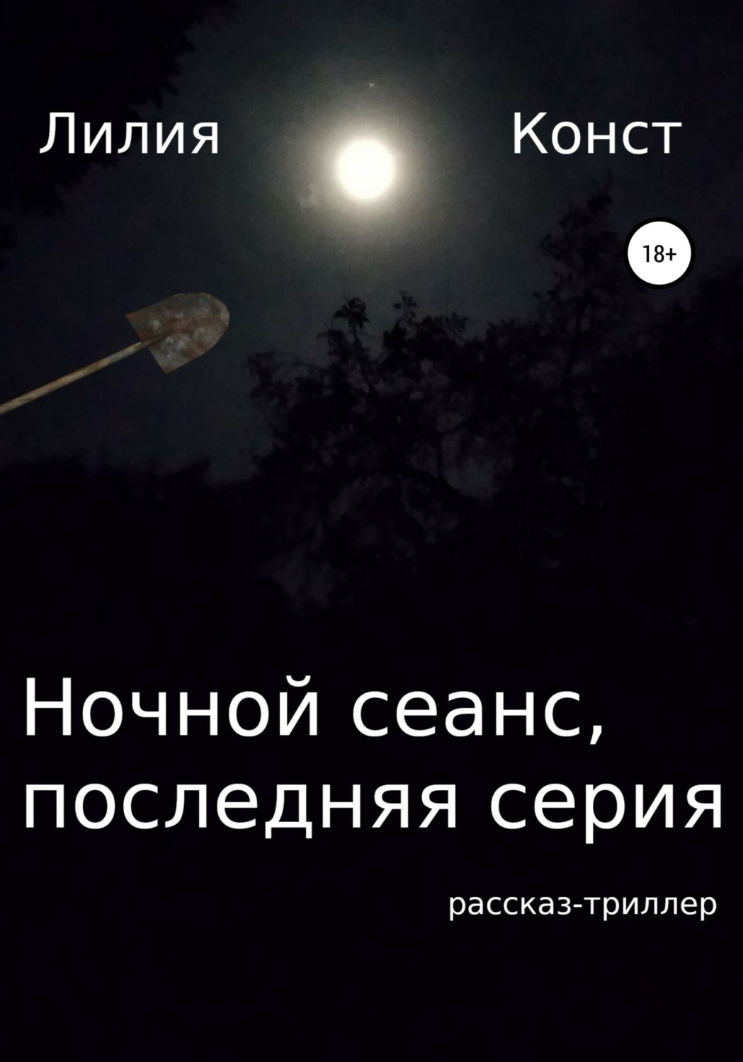 Обложка книги «Ночной сеанс, последняя серия»