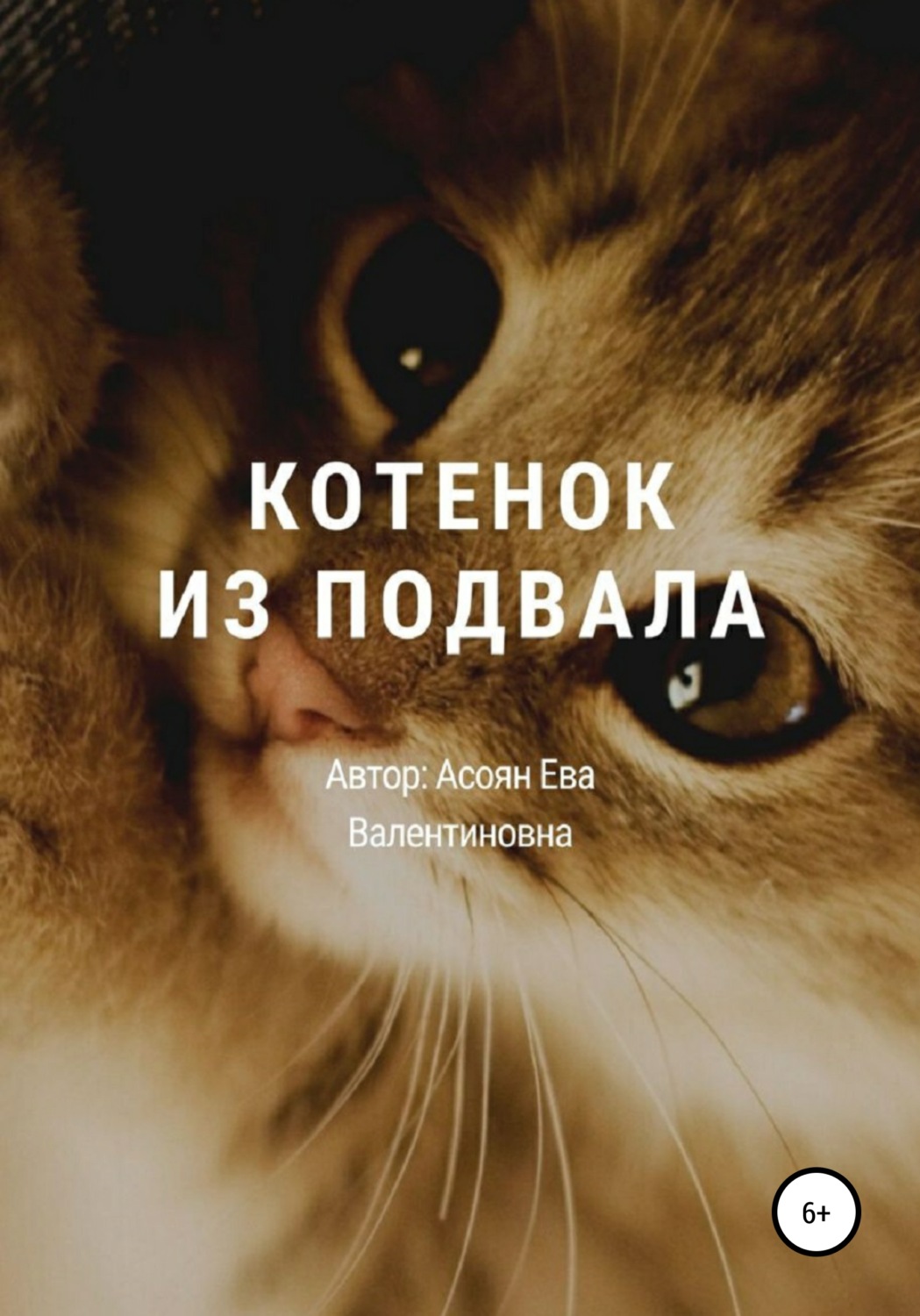 Обложка книги «Котенок из подвала»