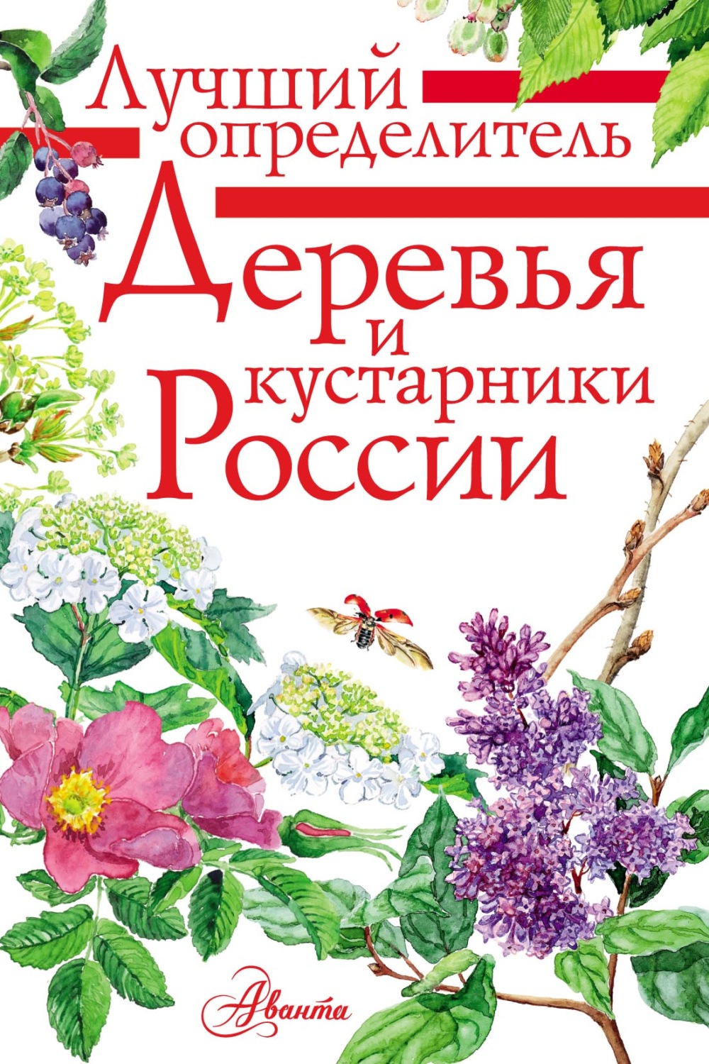 Обложка книги «Деревья и кустарники России. Определитель»