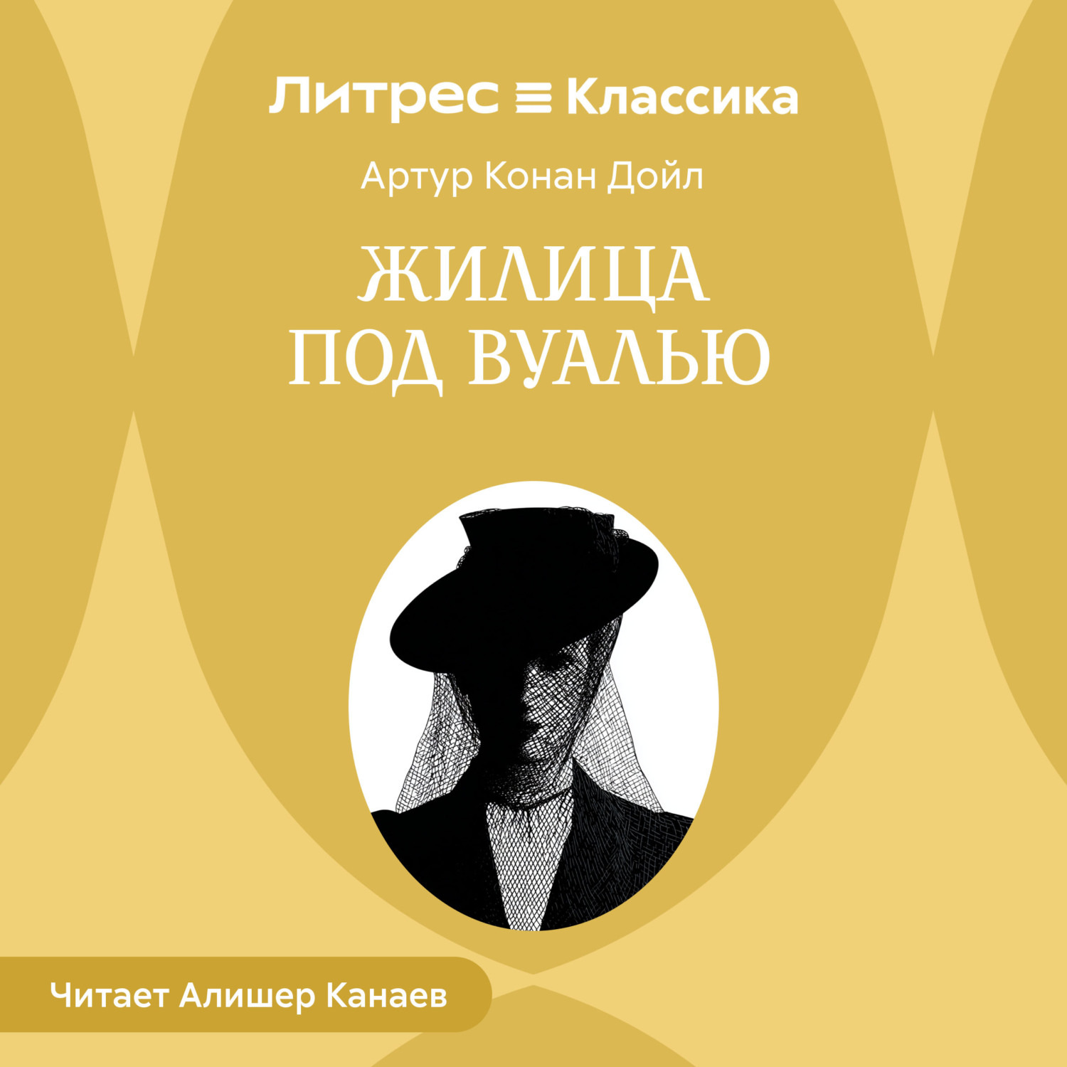 Обложка книги «Жилица под вуалью»