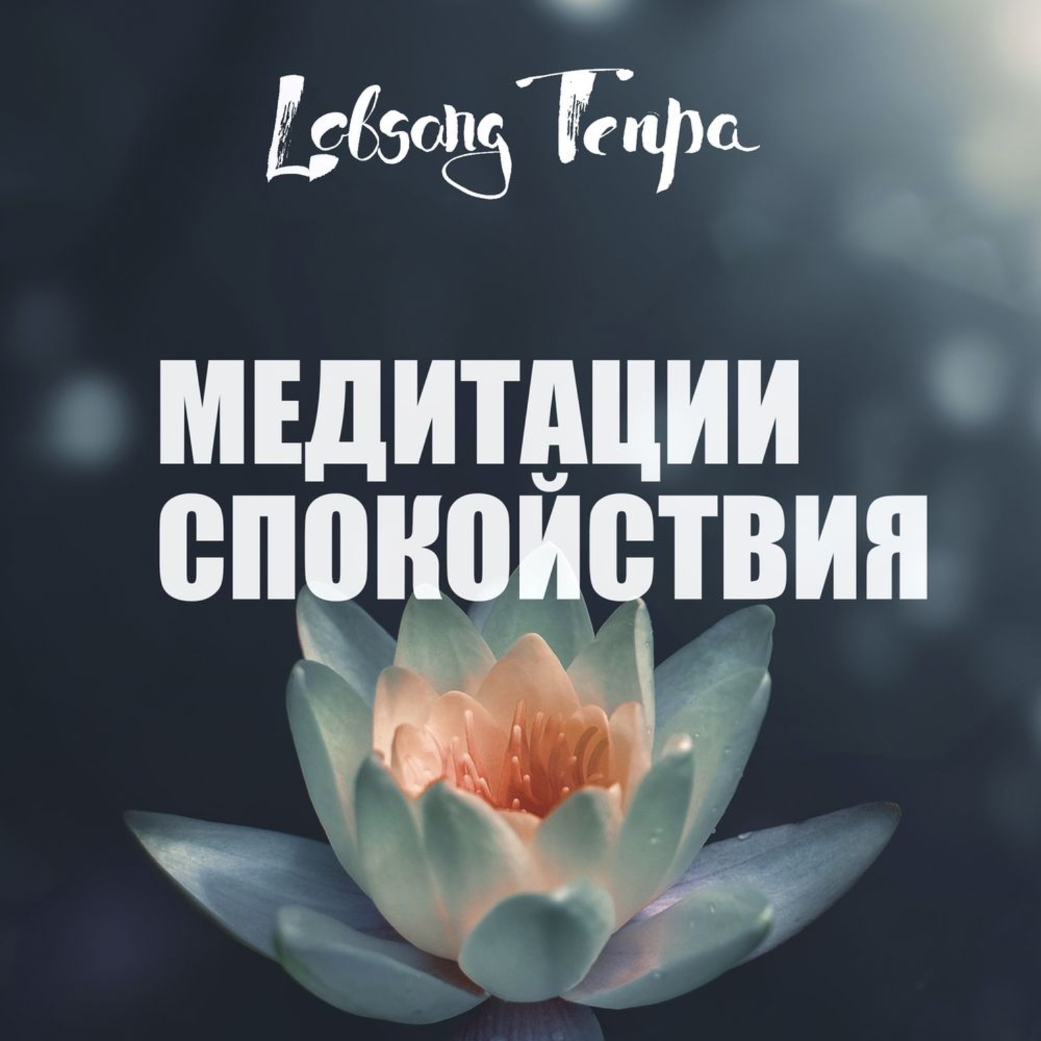 Обложка книги «Медитации спокойствия»