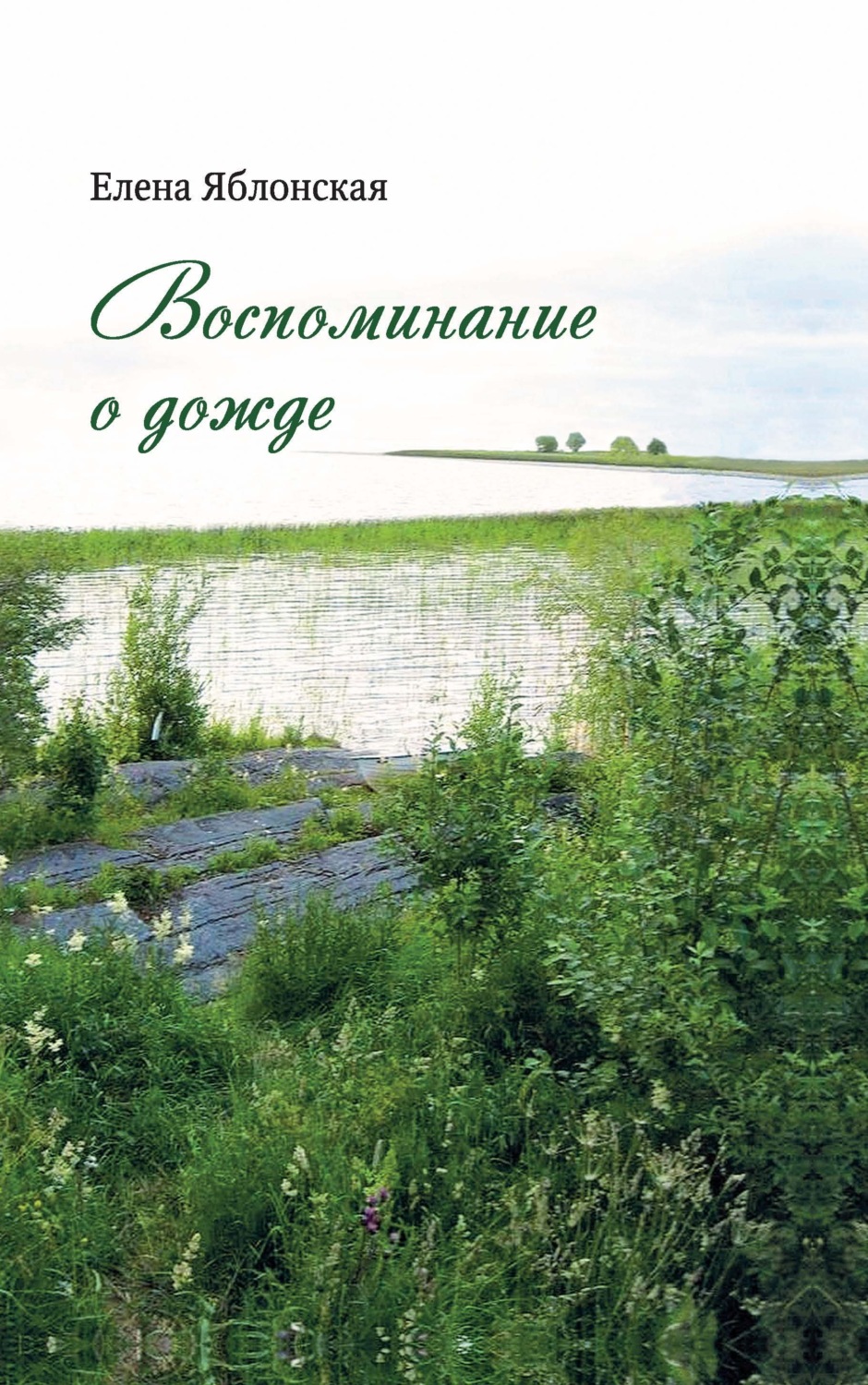 Обложка книги «Воспоминание о дожде»