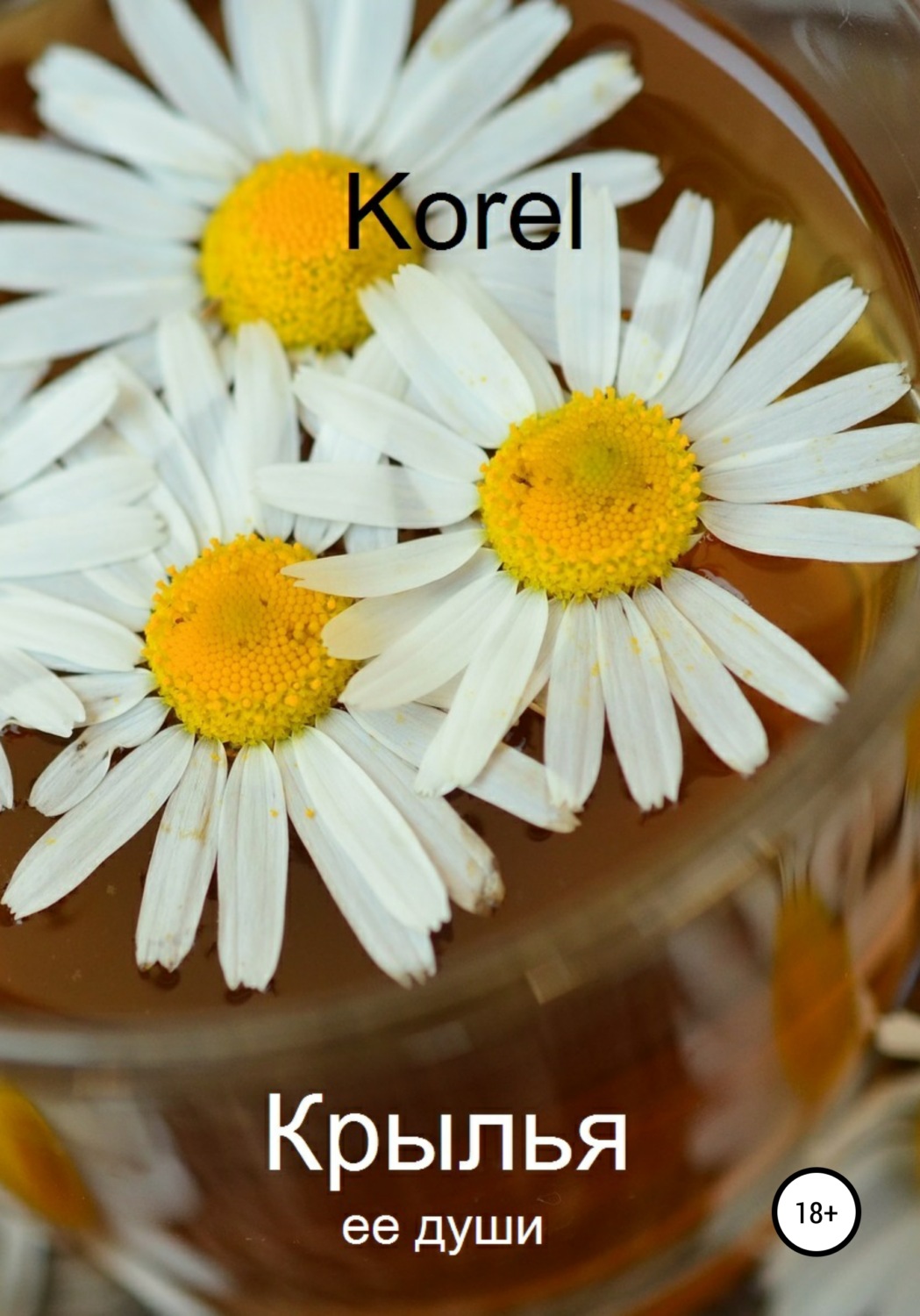 Обложка книги «Крылья ее души»