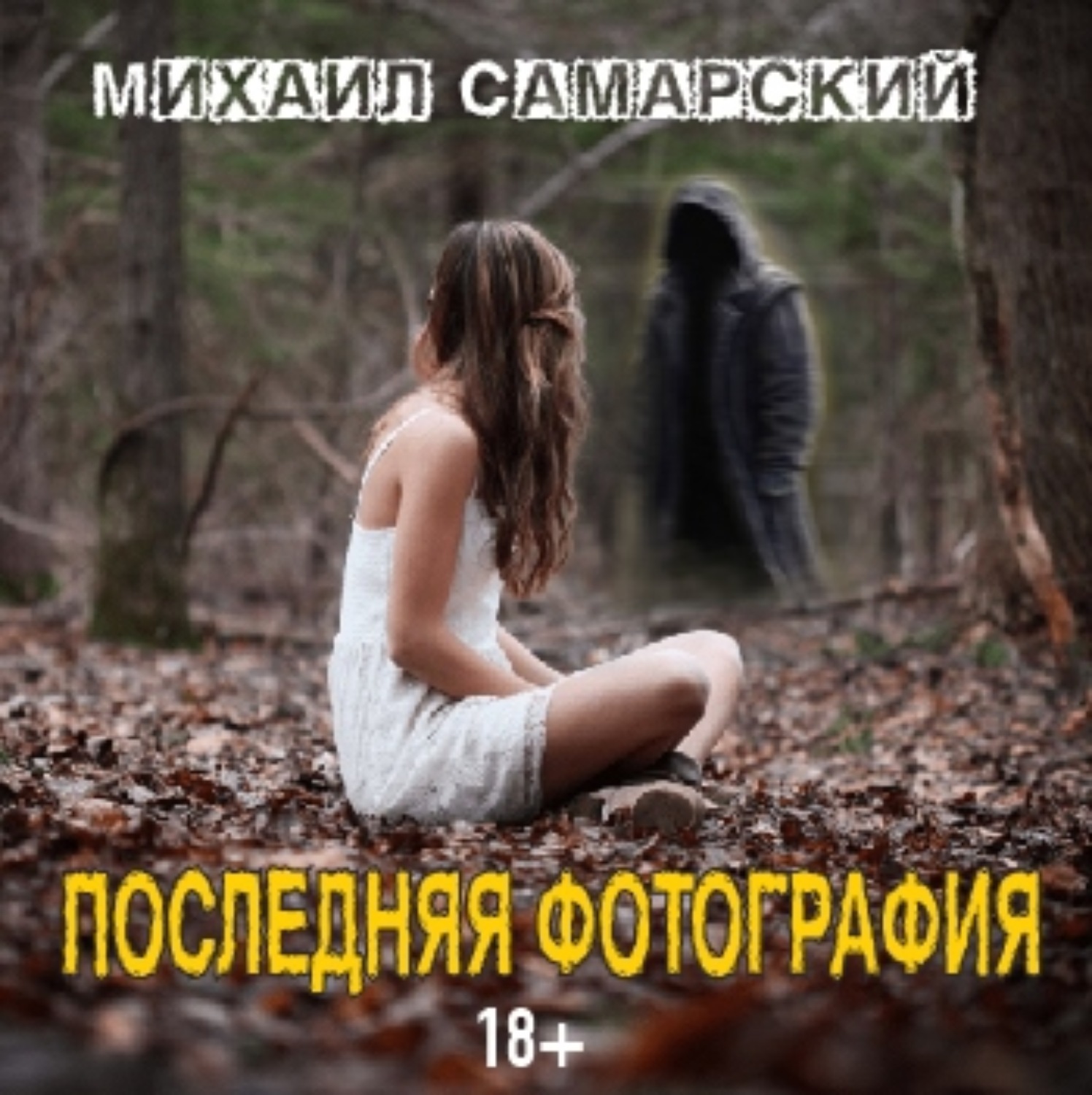 Обложка книги «Последняя фотография»