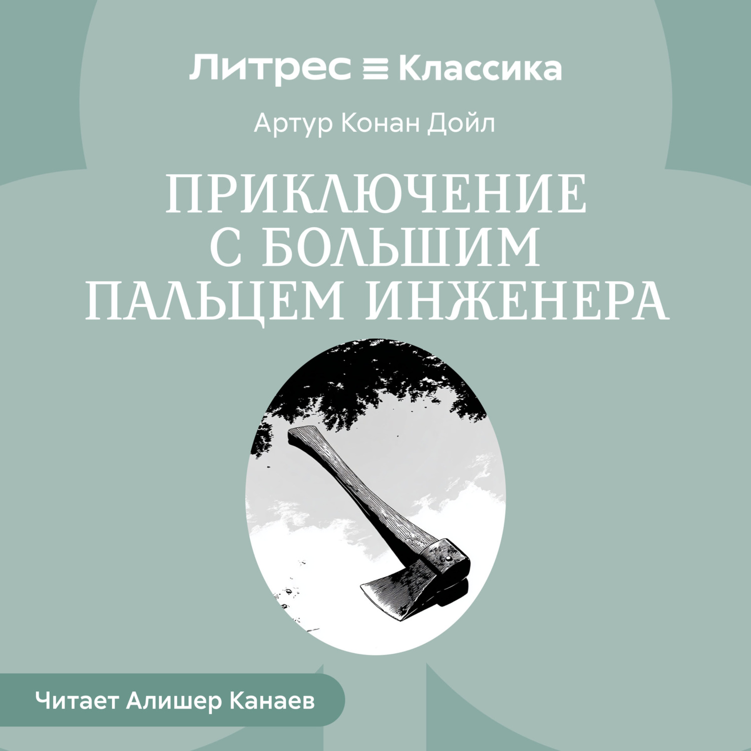 Обложка книги «Приключение с большим пальцем инженера»