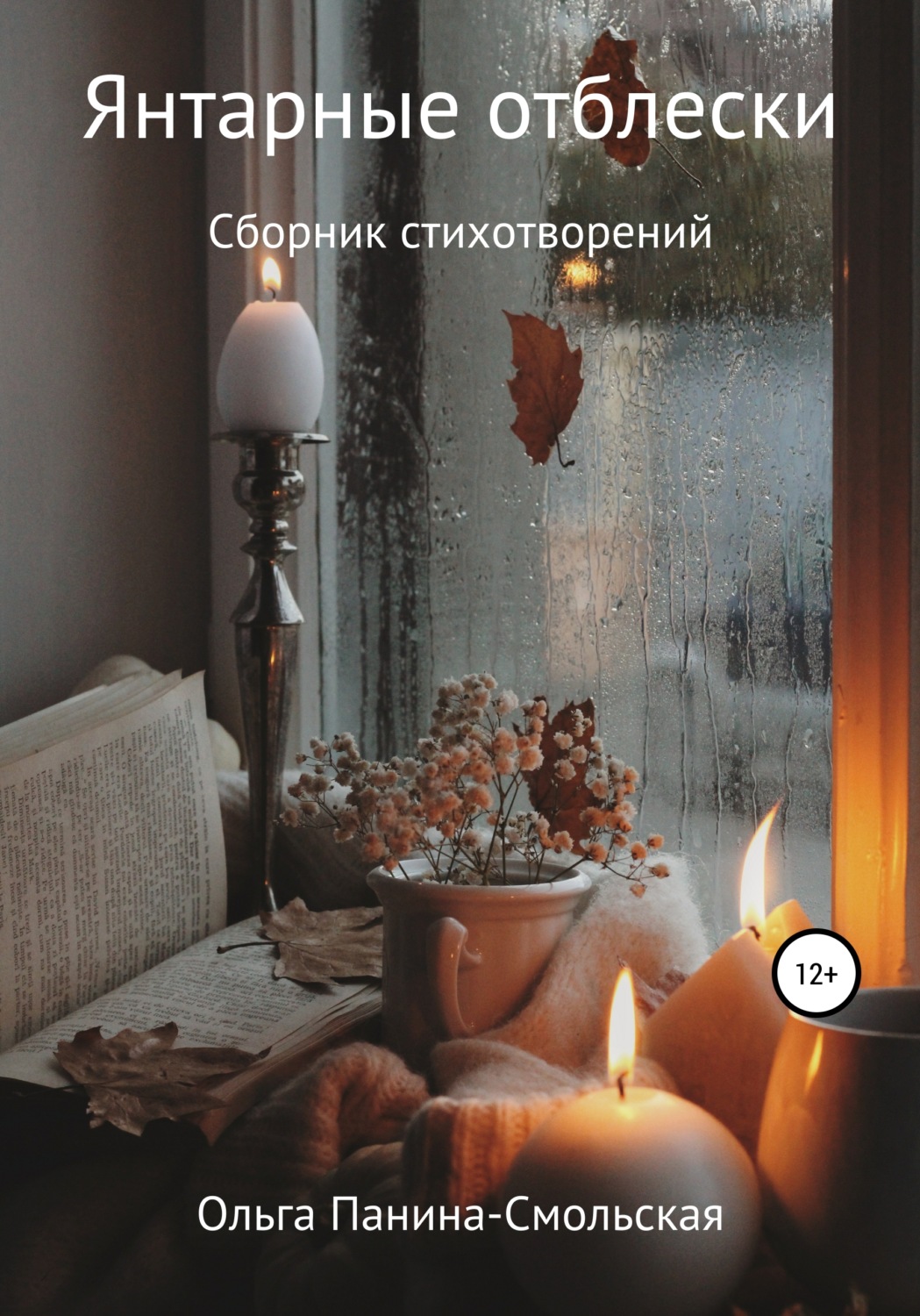 Обложка книги «Янтарные отблески»