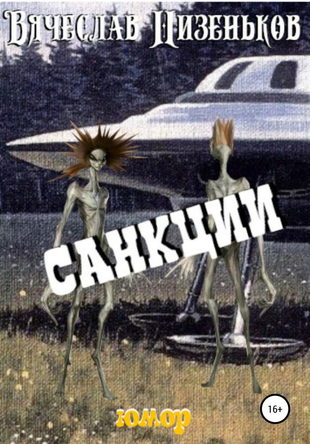 Обложка книги «Санкции»