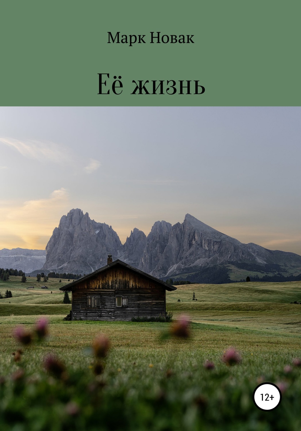 Обложка книги «Её жизнь»