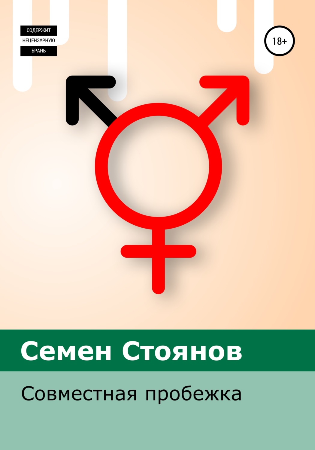 Обложка книги «Совместная пробежка»