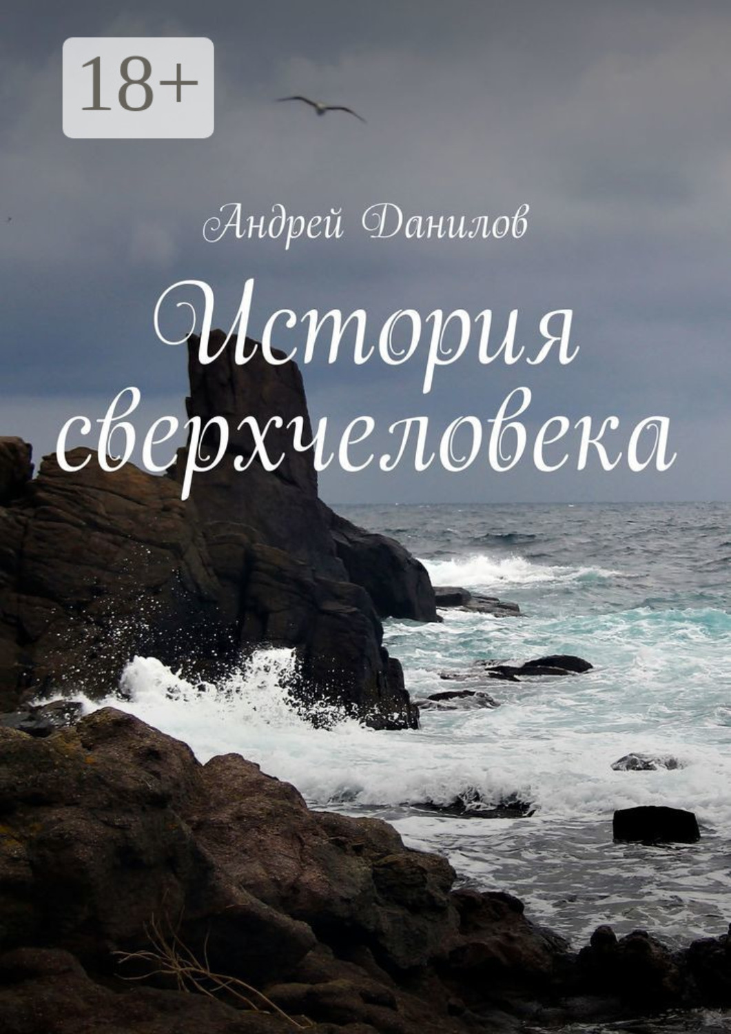 Обложка книги «История сверхчеловека»