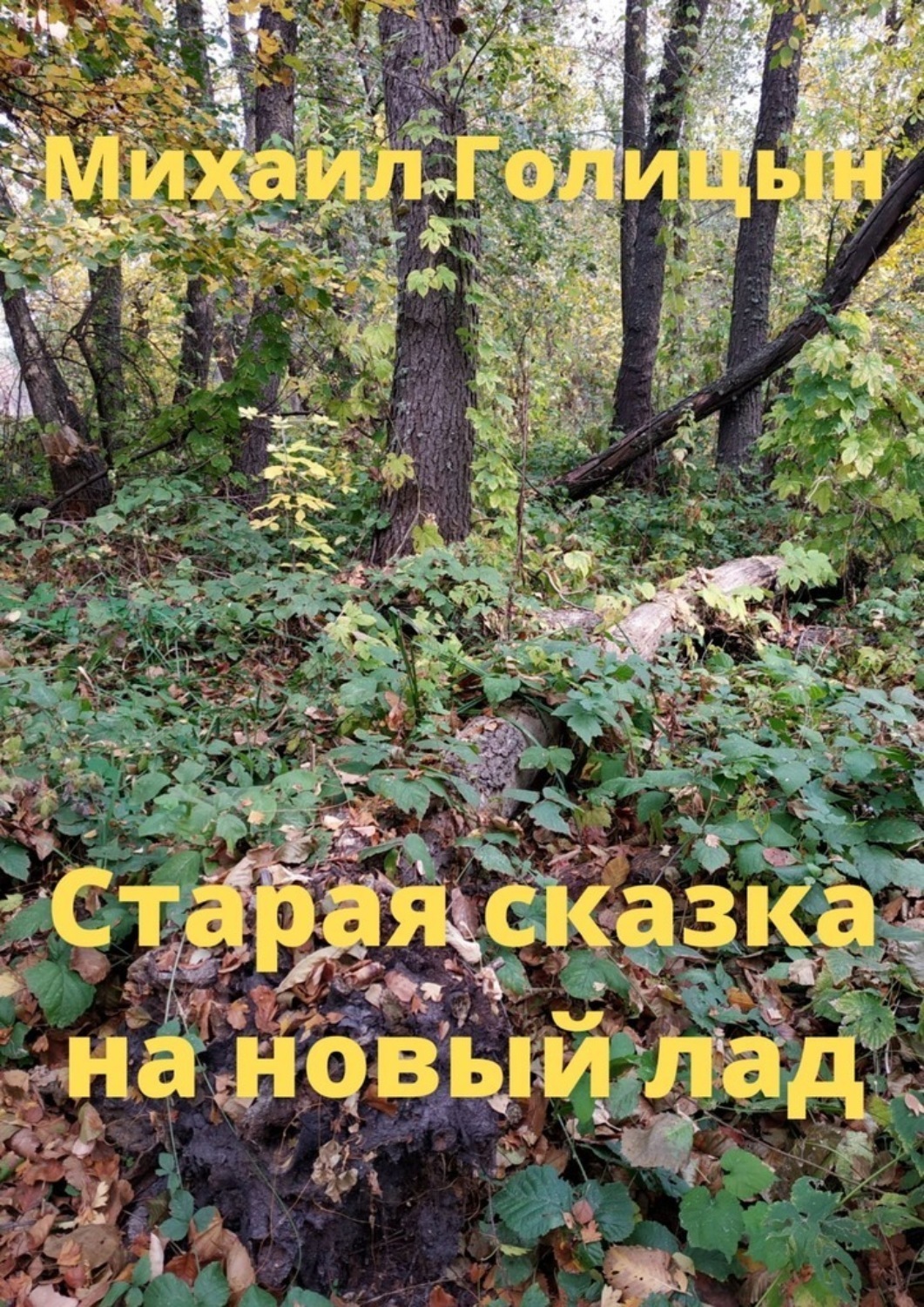Обложка книги «Старая сказка на новый лад»