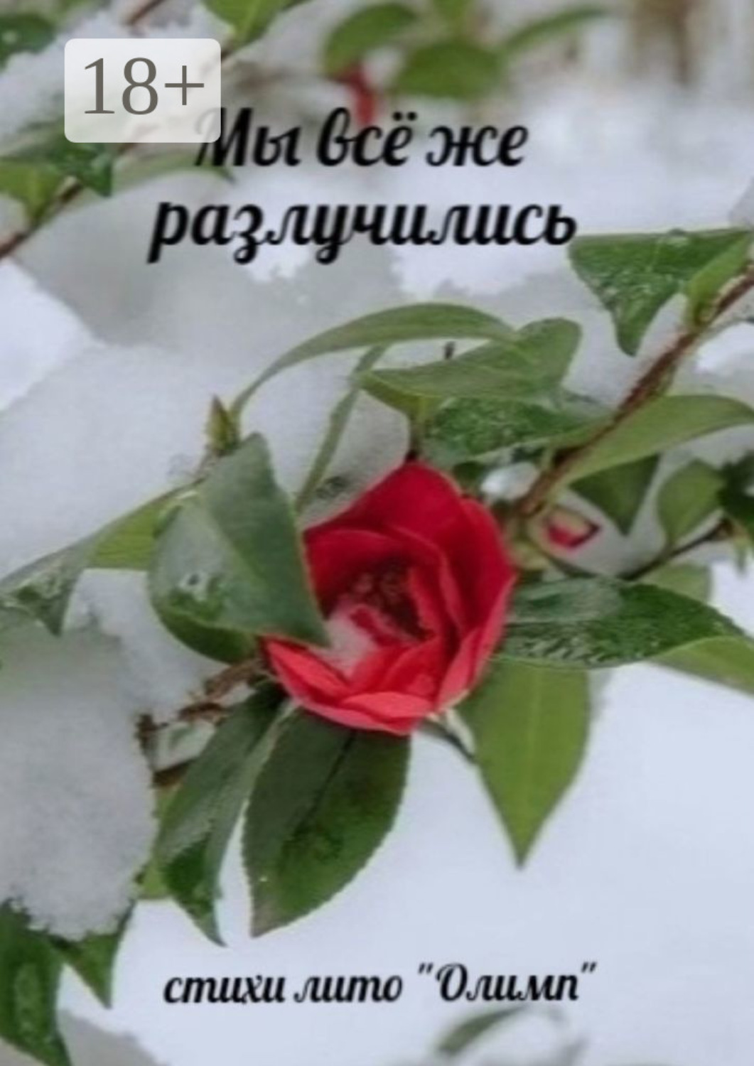 Обложка книги «Мы всё же разлучились. Стихи лито «Олимп»»