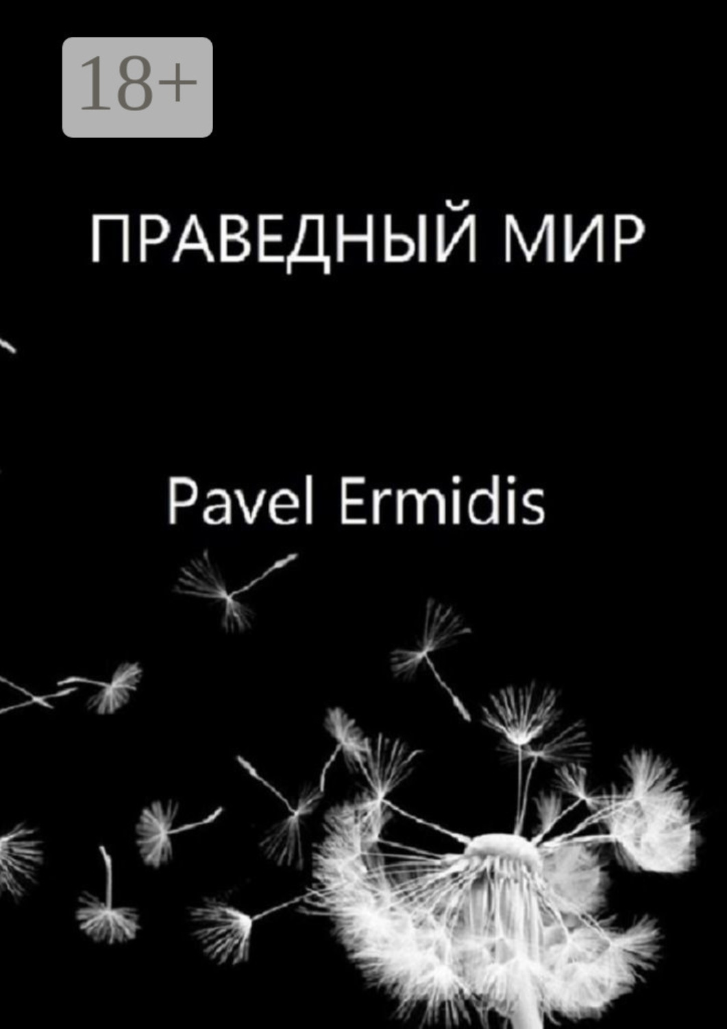Обложка книги «Праведный Мир»