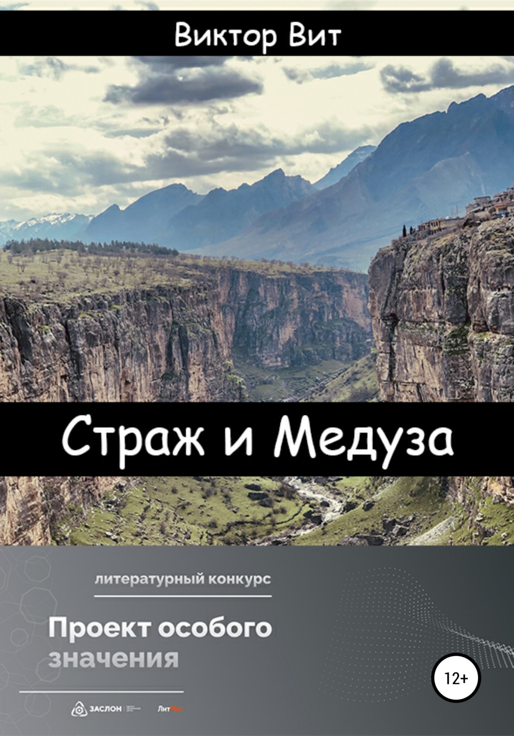 Обложка книги «Страж и Медуза»