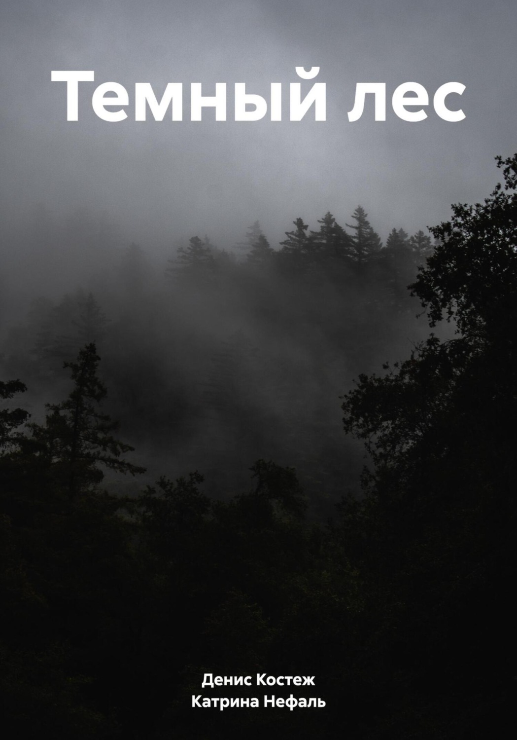 Обложка книги «Темный лес»