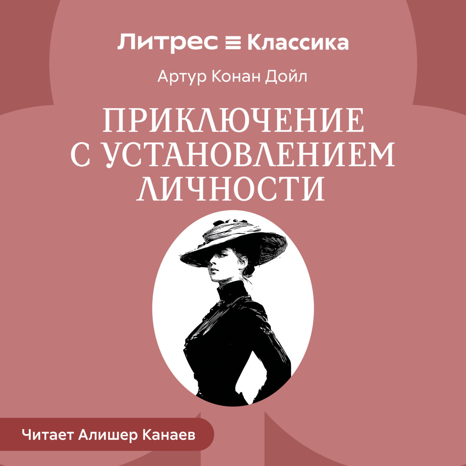 Обложка книги «Приключение с установлением личности»
