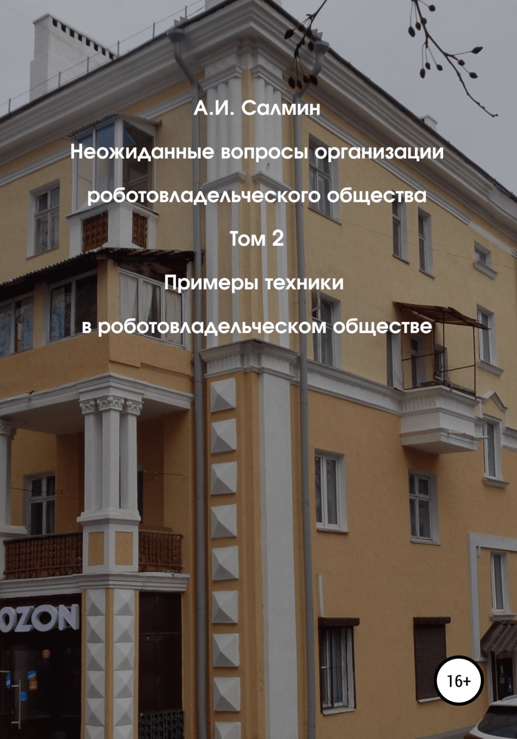 Обложка книги «Неожиданные вопросы организации роботовладельческого общества. Том 2. Примеры техники в роботовладельческом обществе»
