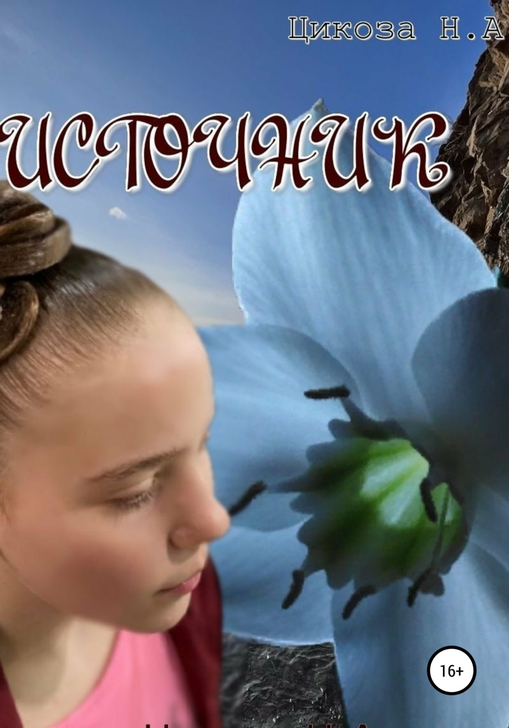 Обложка книги «Источник»