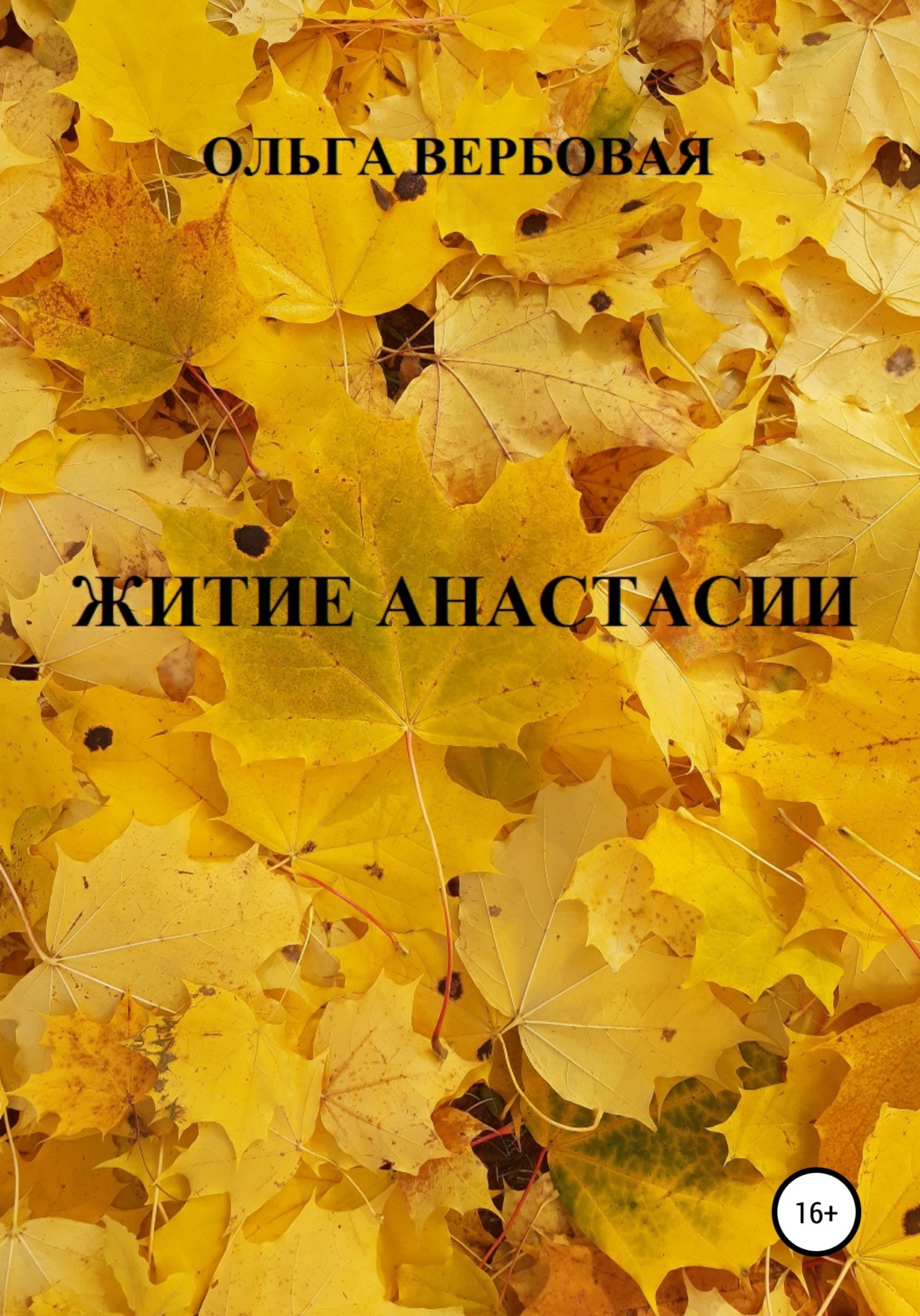 Обложка книги «Житие Анастасии»