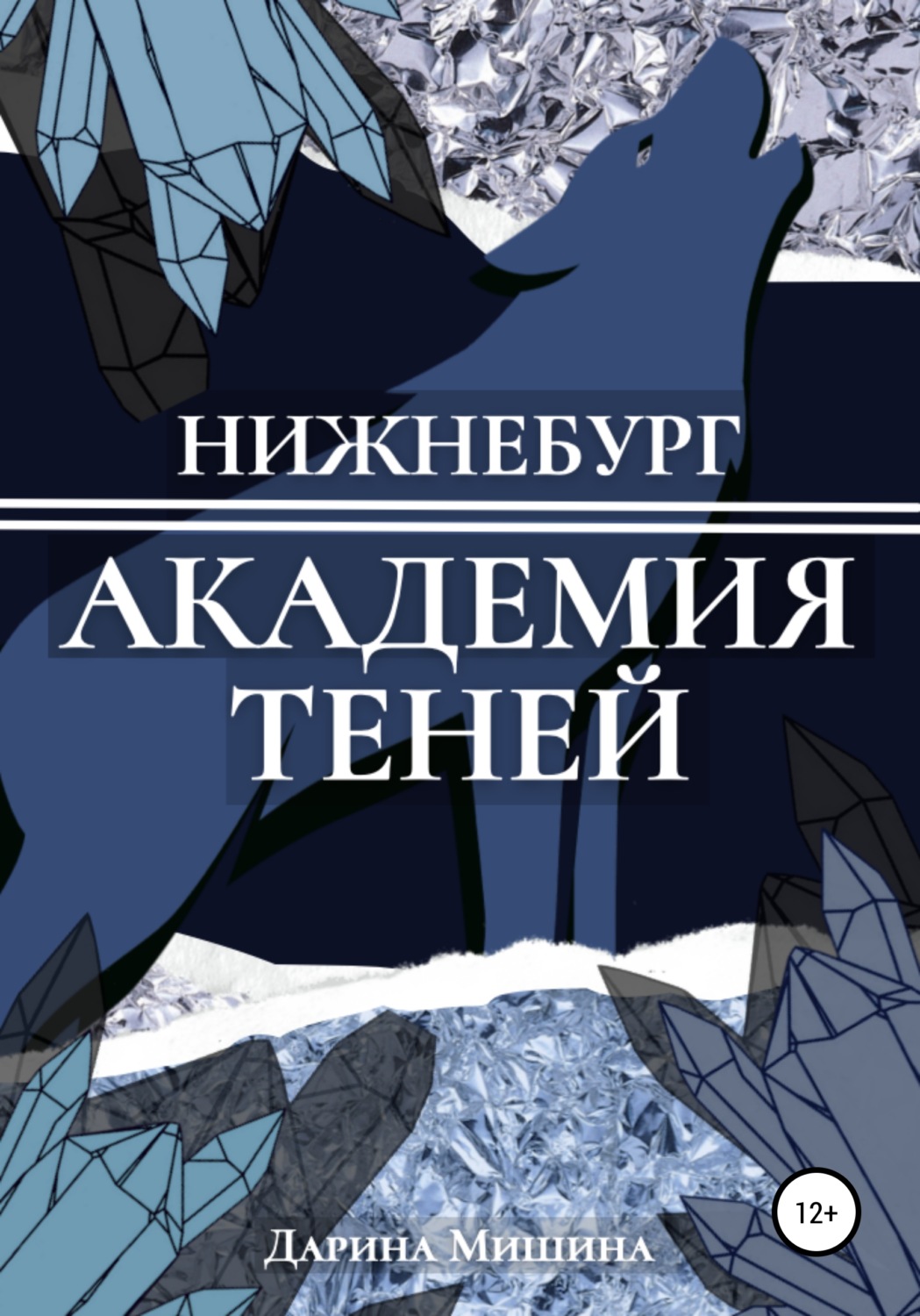 Обложка книги «Нижнебург. Академия Теней»