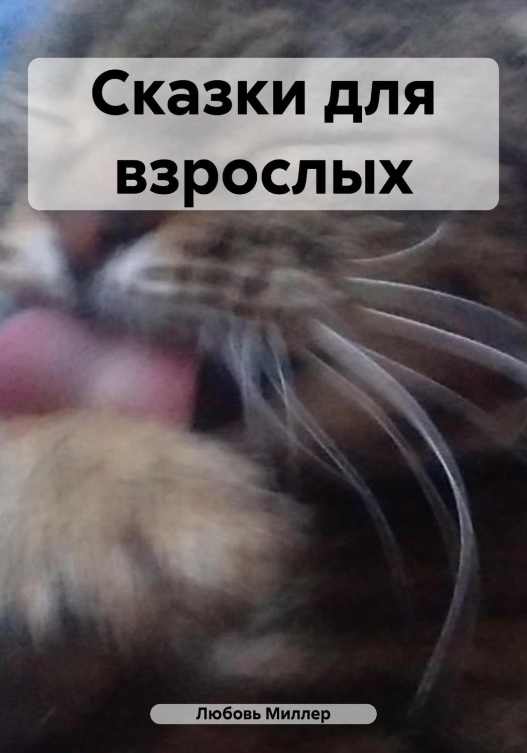 Обложка книги «Сказки для взрослых»