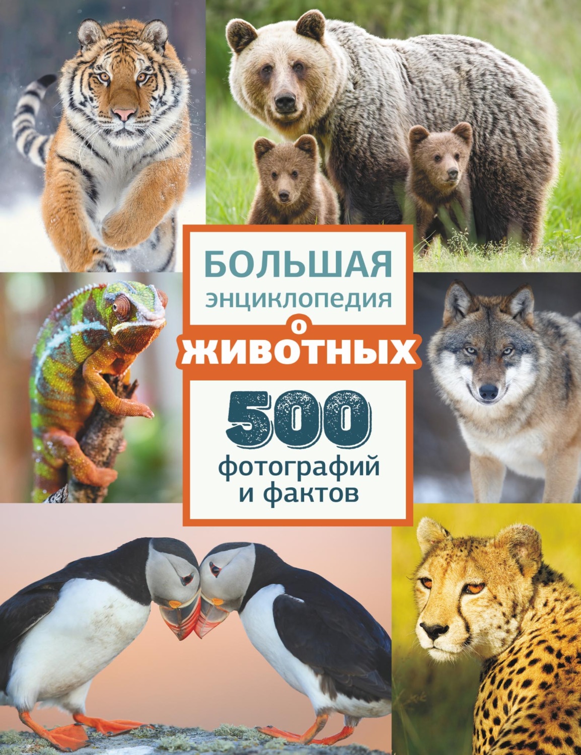 Обложка книги «Большая энциклопедия о животных. 500 фотографий и фактов»
