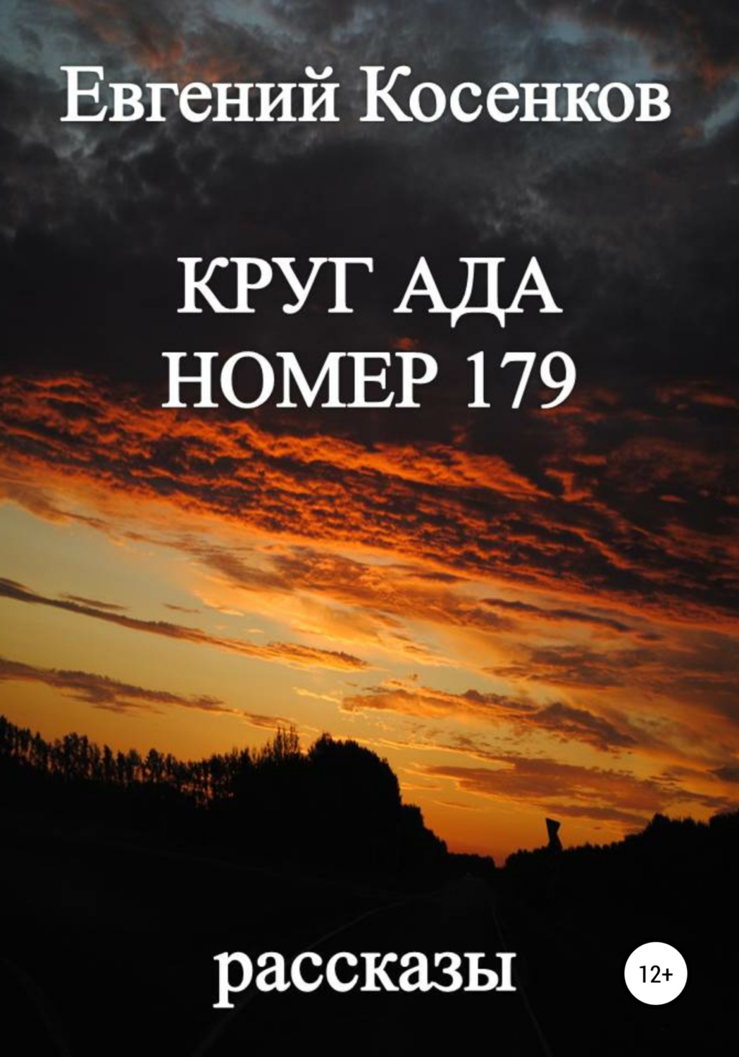 Обложка книги «Круг ада номер 179»