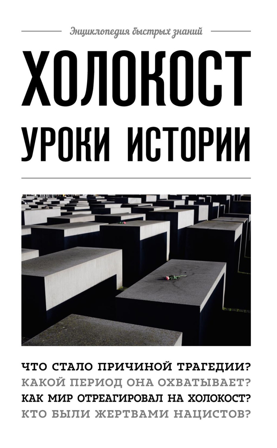 Обложка книги «Холокост. Уроки истории»