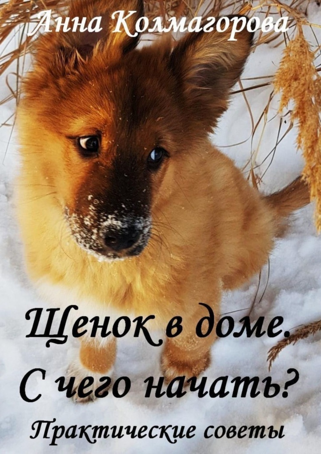 Обложка книги «Щенок в доме. С чего начать? Практические советы»