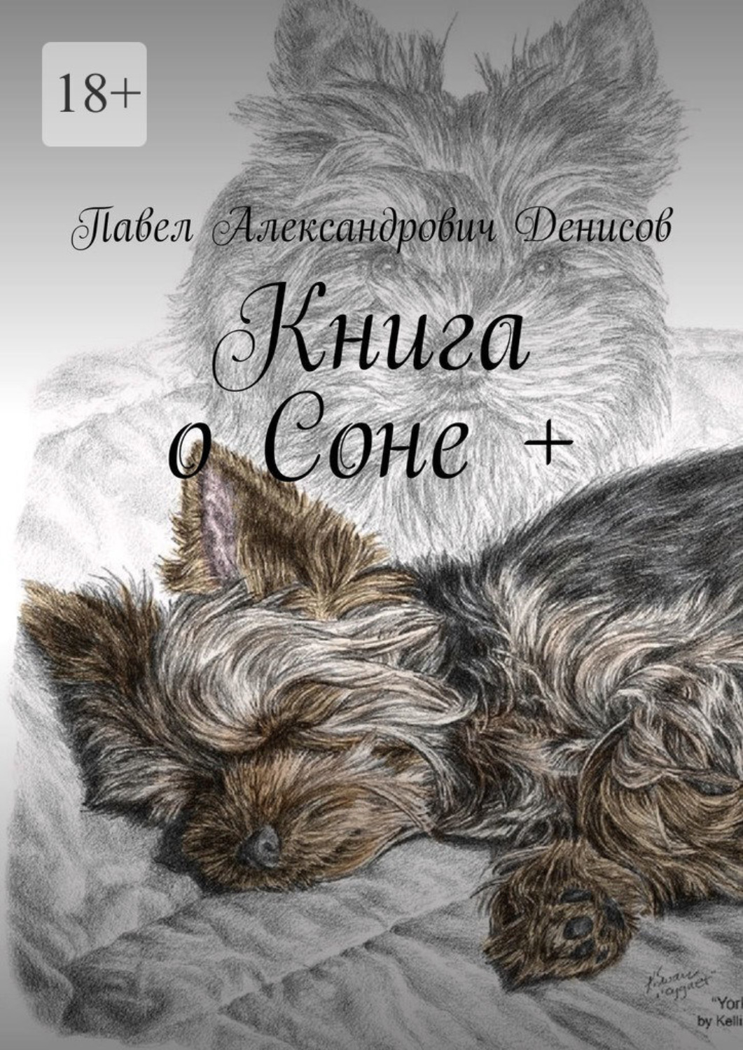 Обложка книги «Книга о Соне +»