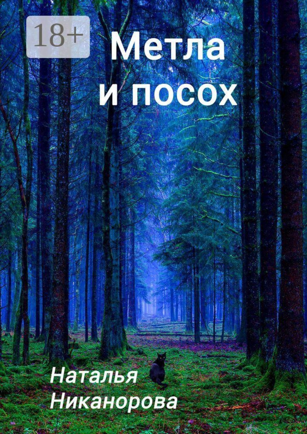 Обложка книги «Метла и посох»