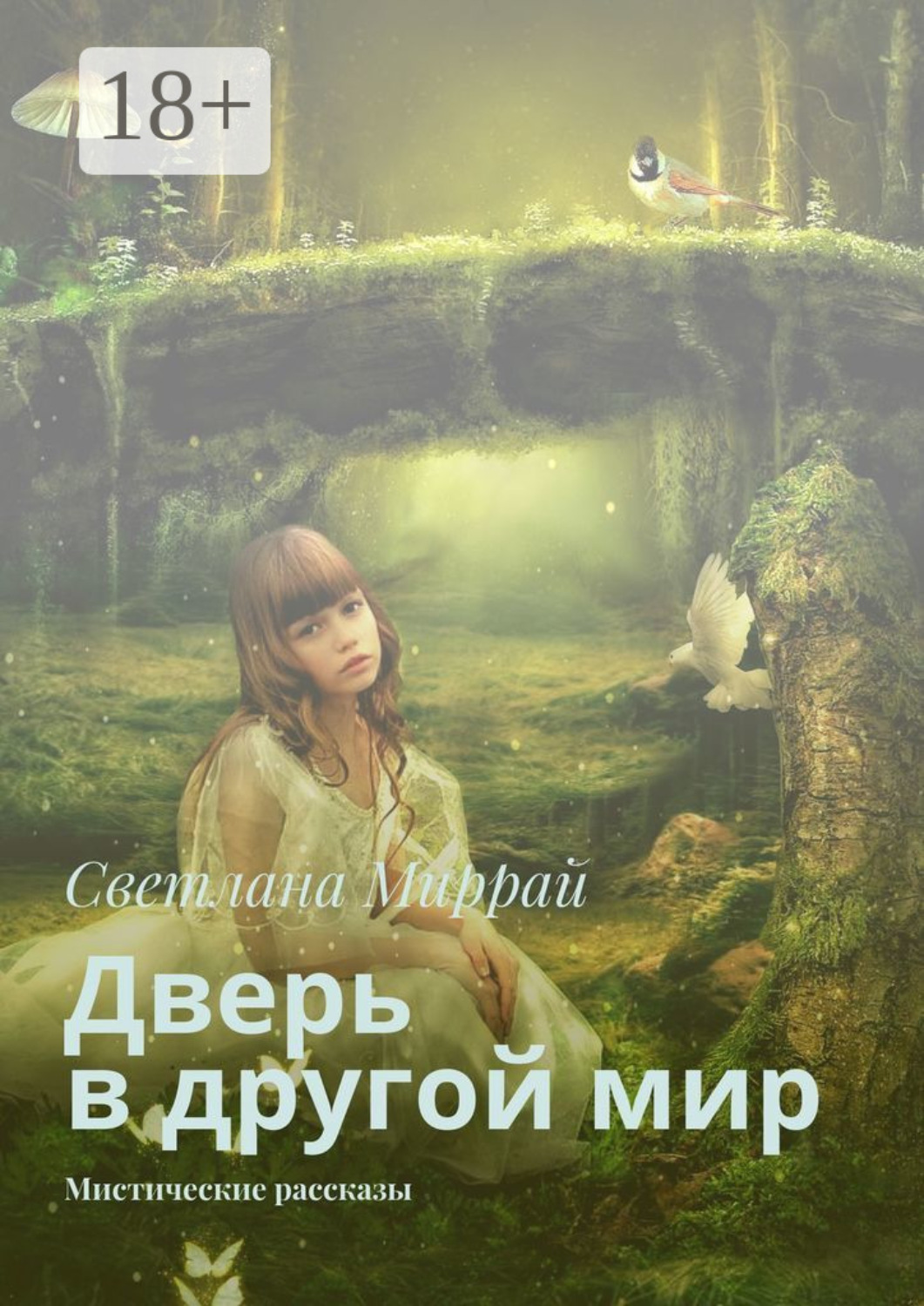 Обложка книги «Дверь в другой мир. Мистические рассказы»