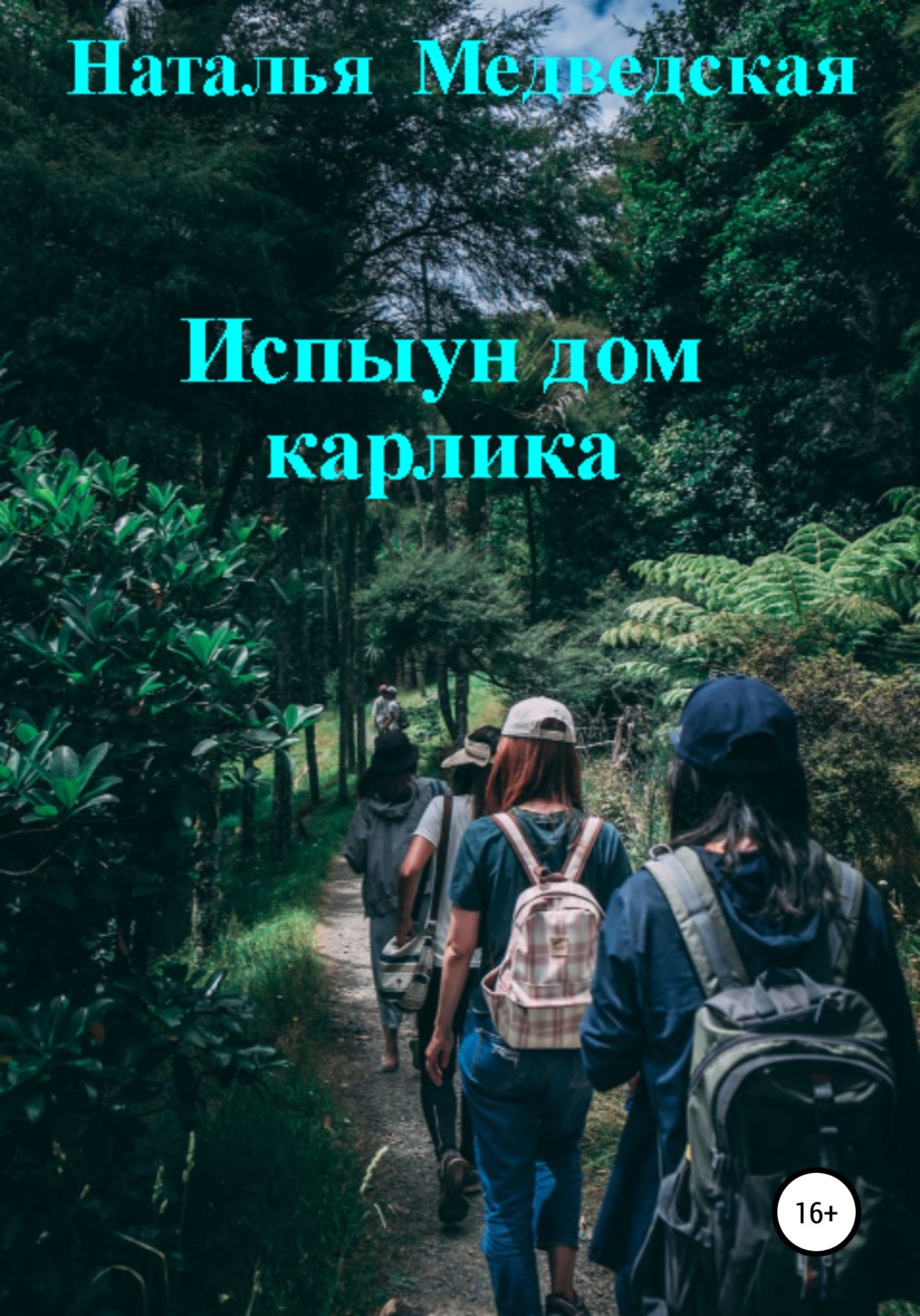 Обложка книги «Испыун дом карлика»
