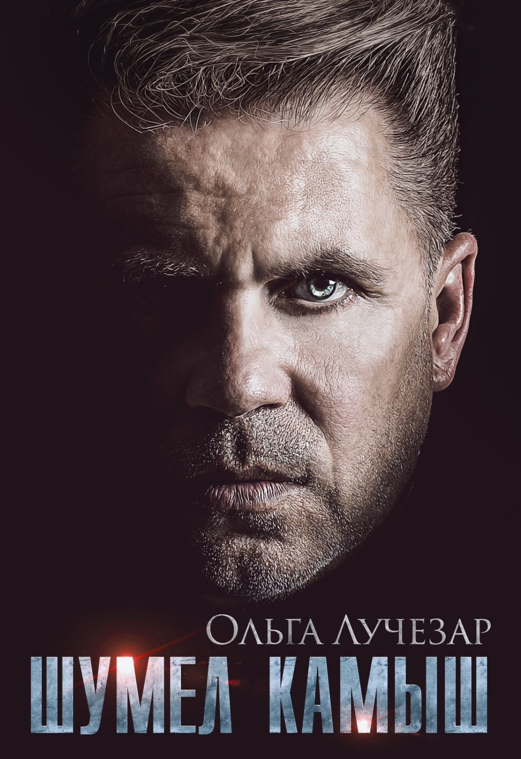Обложка книги «Шумел Камыш»