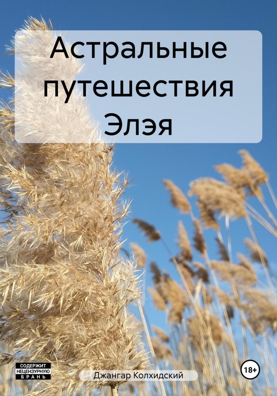 Обложка книги «Астральные путешествия Элэя»