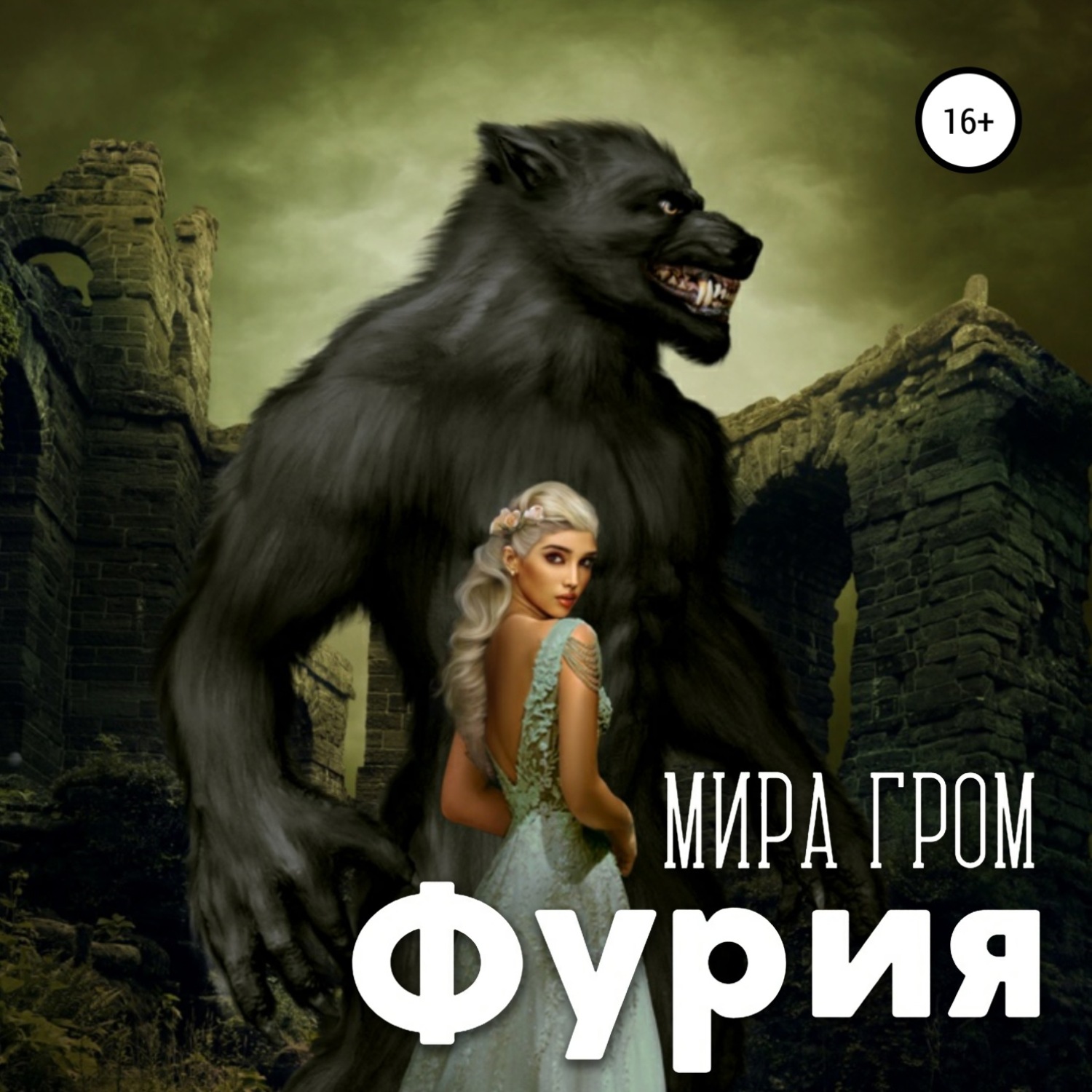 Обложка книги «Фурия»