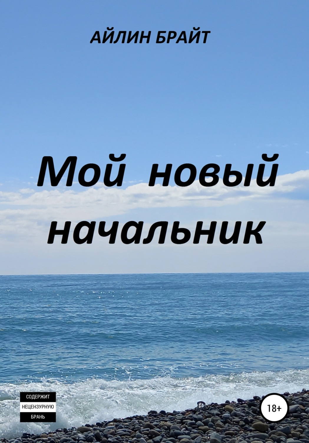 Обложка книги «Мой новый начальник»