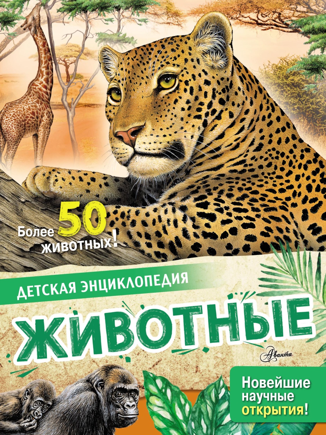 Обложка книги «Животные»