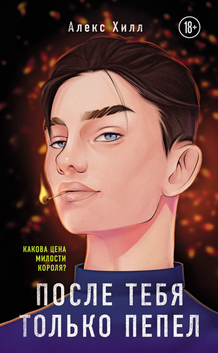 Обложка книги «После тебя только пепел»