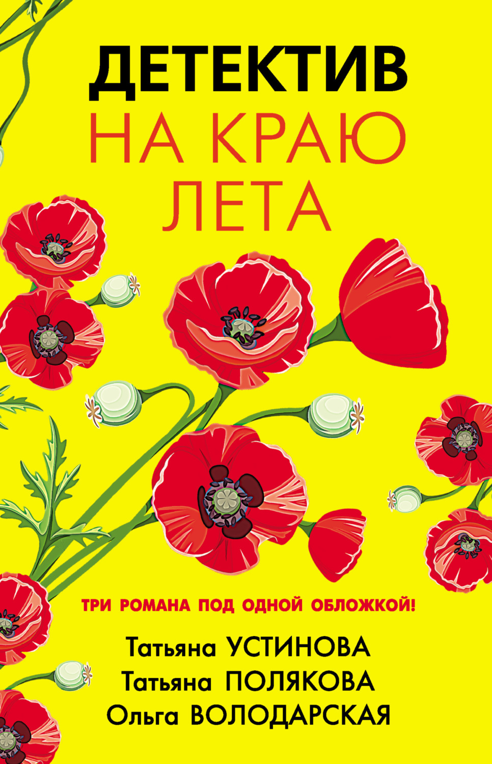 Обложка книги «Детектив на краю лета»