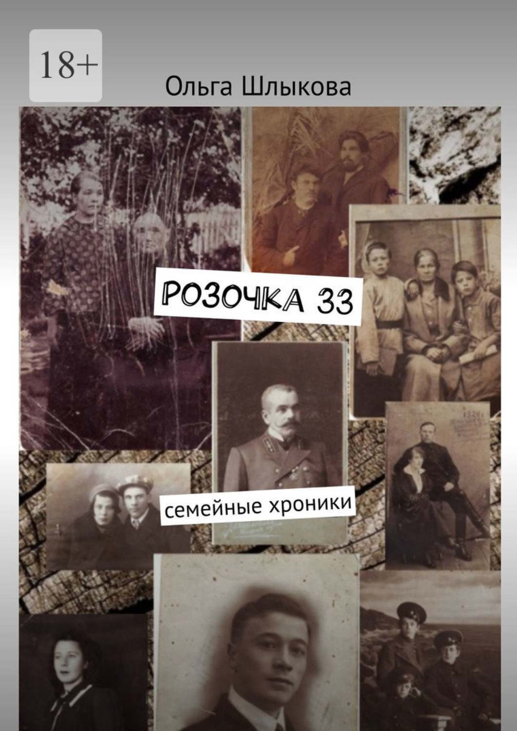 Обложка книги «Розочка, 33. Семейные хроники»