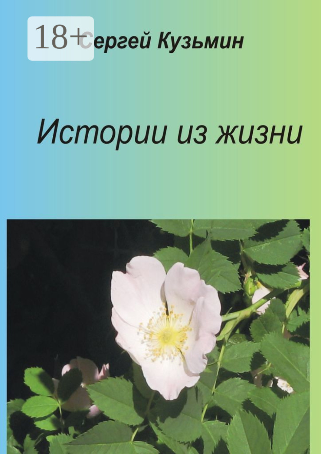Обложка книги «Истории из жизни»