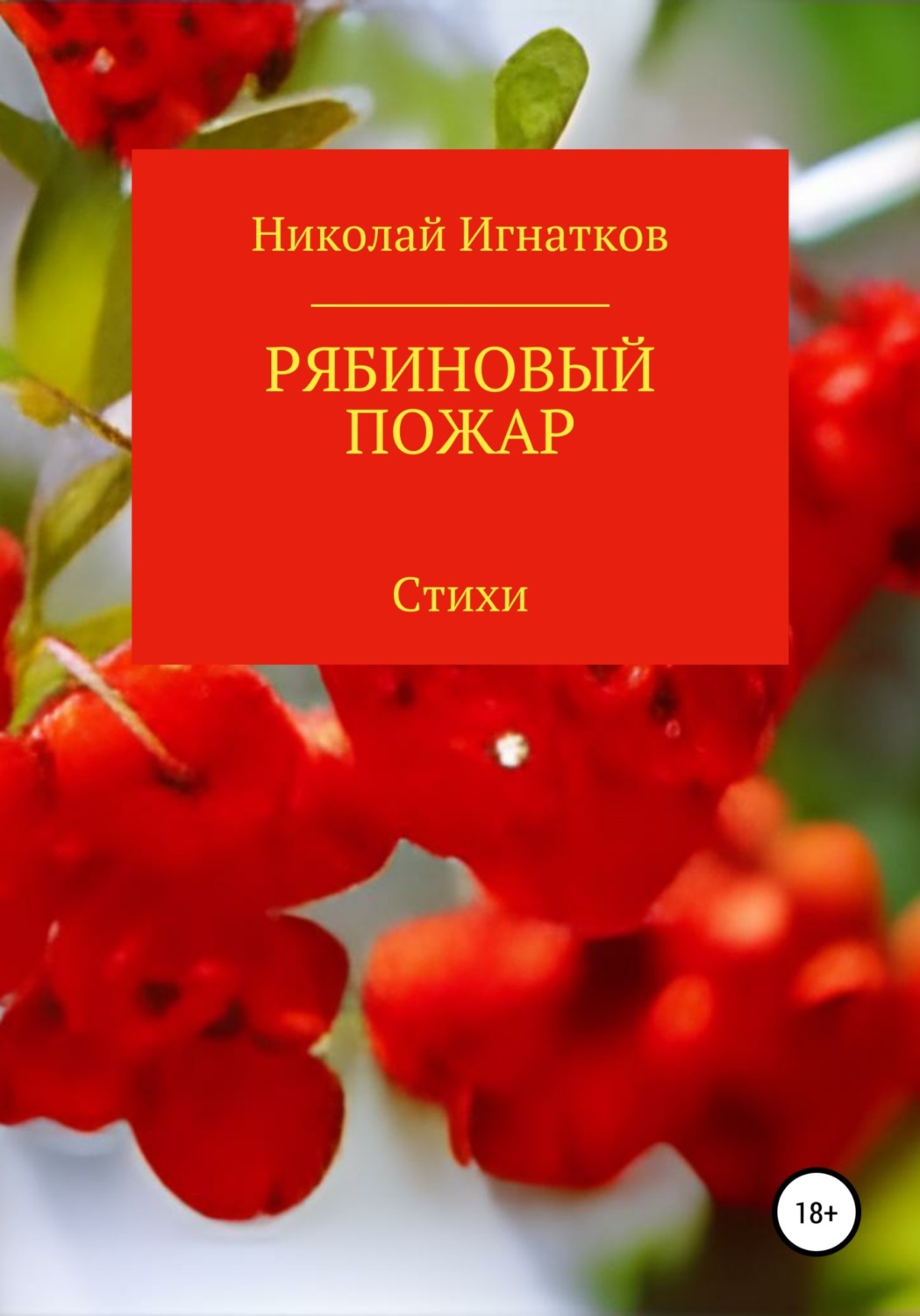 Обложка книги «Рябиновый пожар»