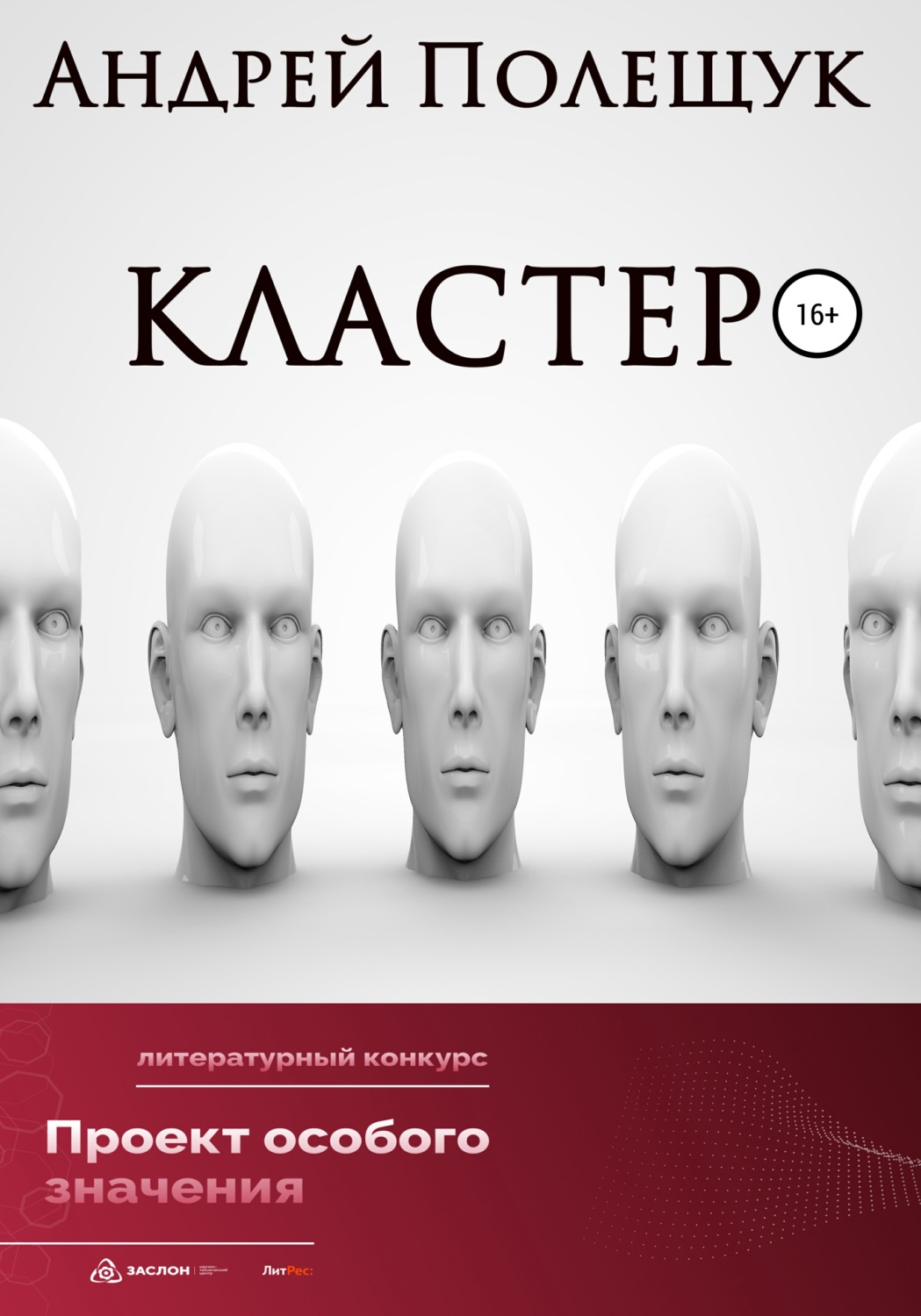 Обложка книги «Кластер»