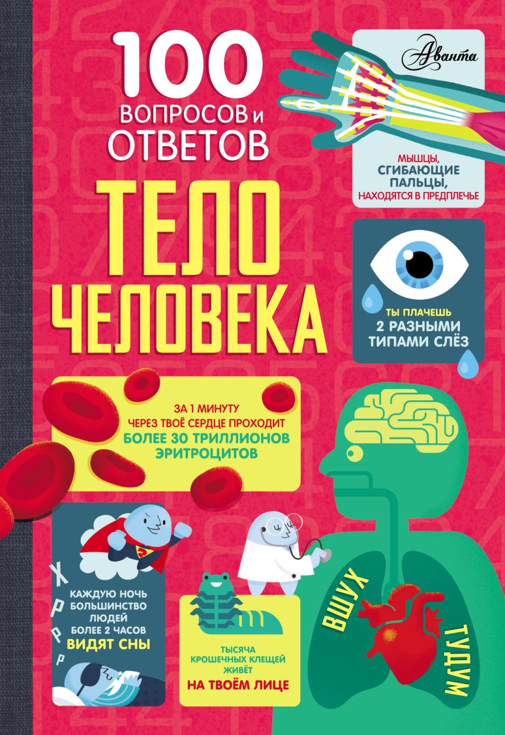 Обложка книги «Тело человека»