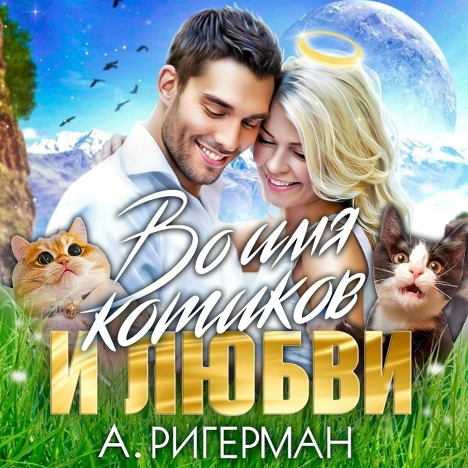 Обложка книги «Во имя котиков и любви»