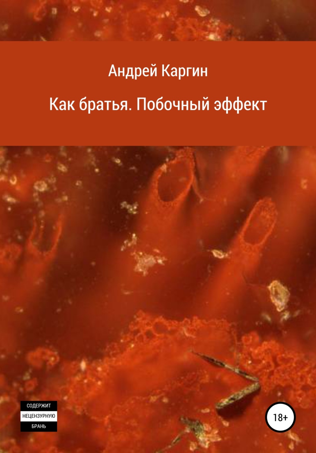 Обложка книги «Как братья. Побочный эффект»