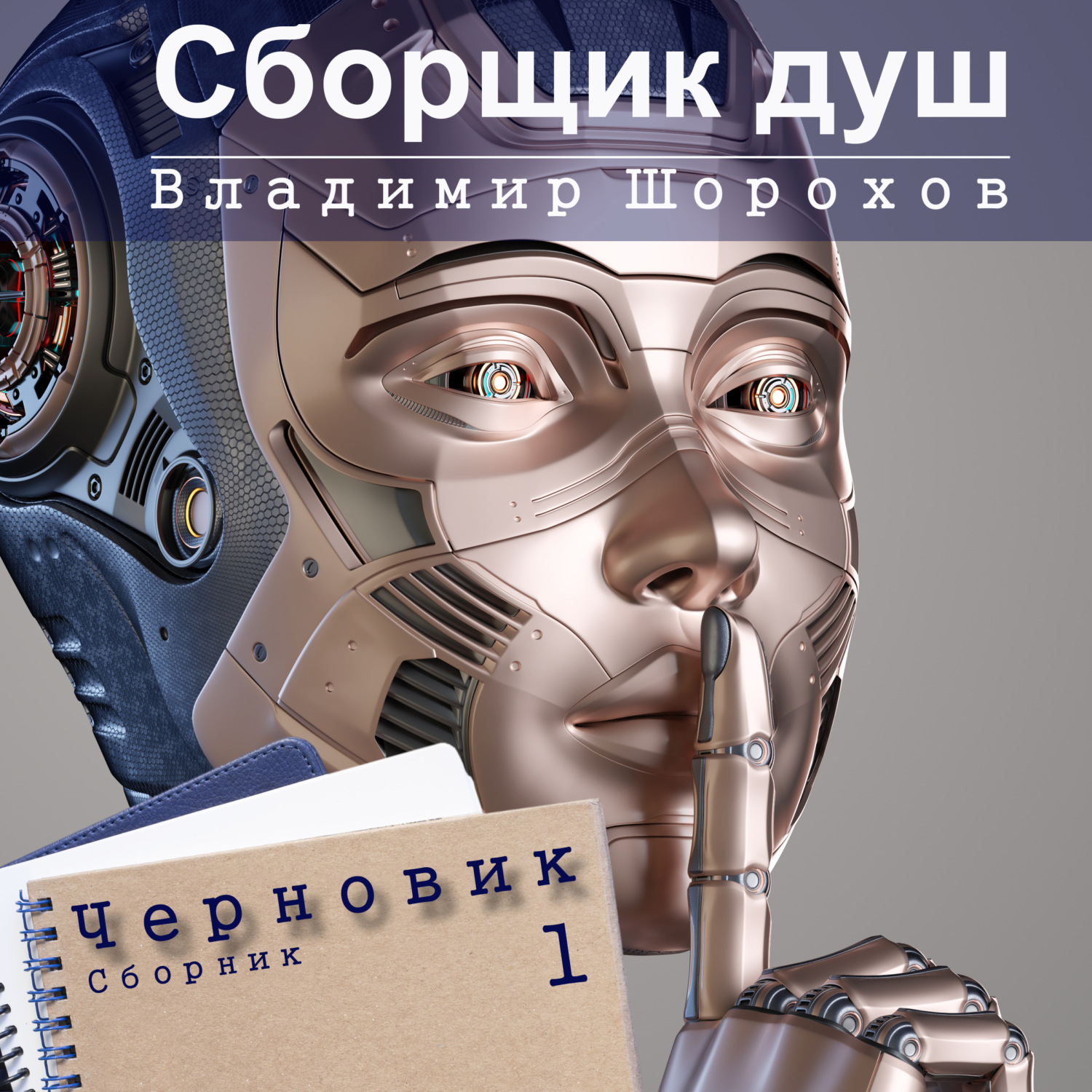 Обложка книги «Сборщик душ»