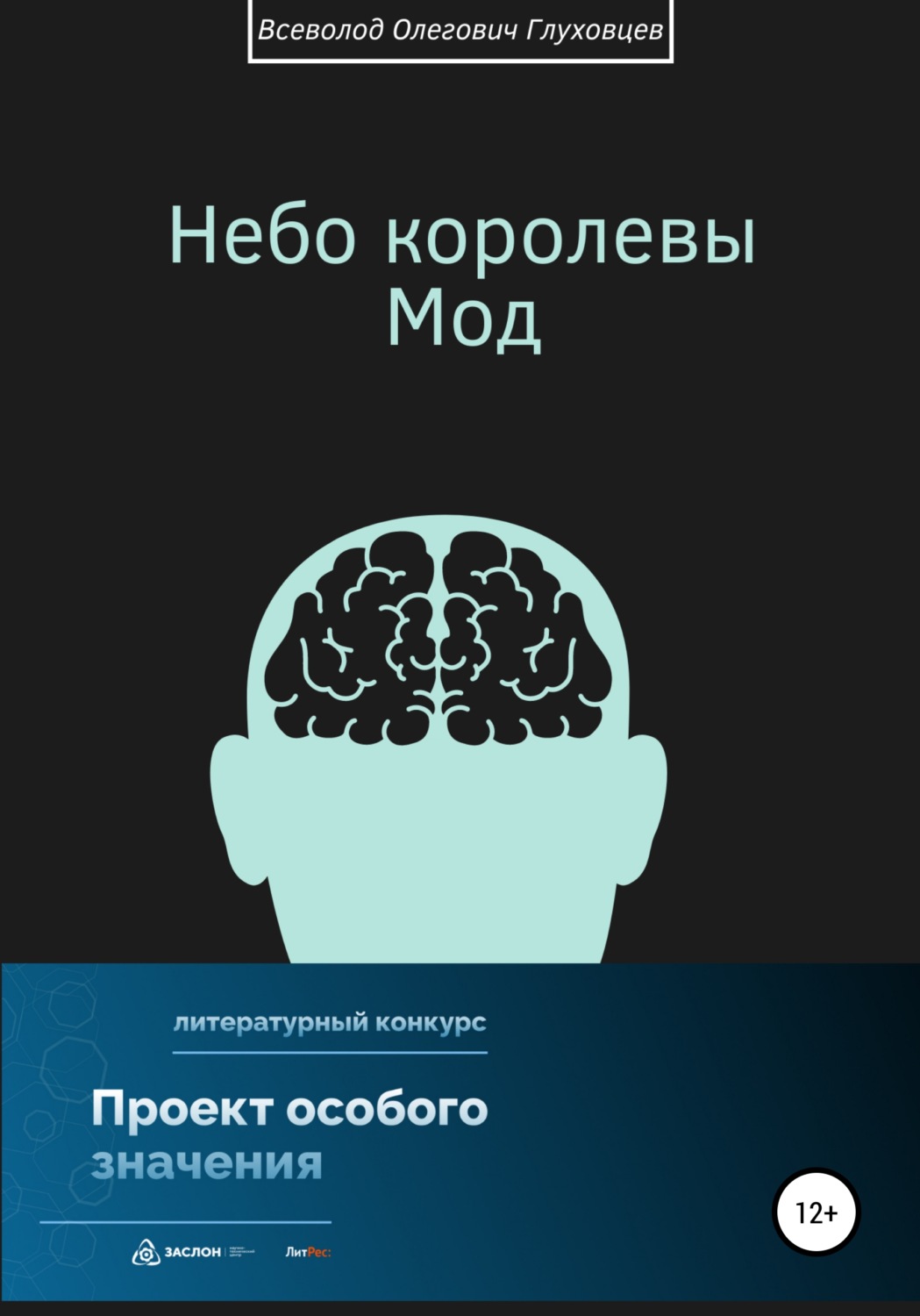Обложка книги «Небо королевы Мод»
