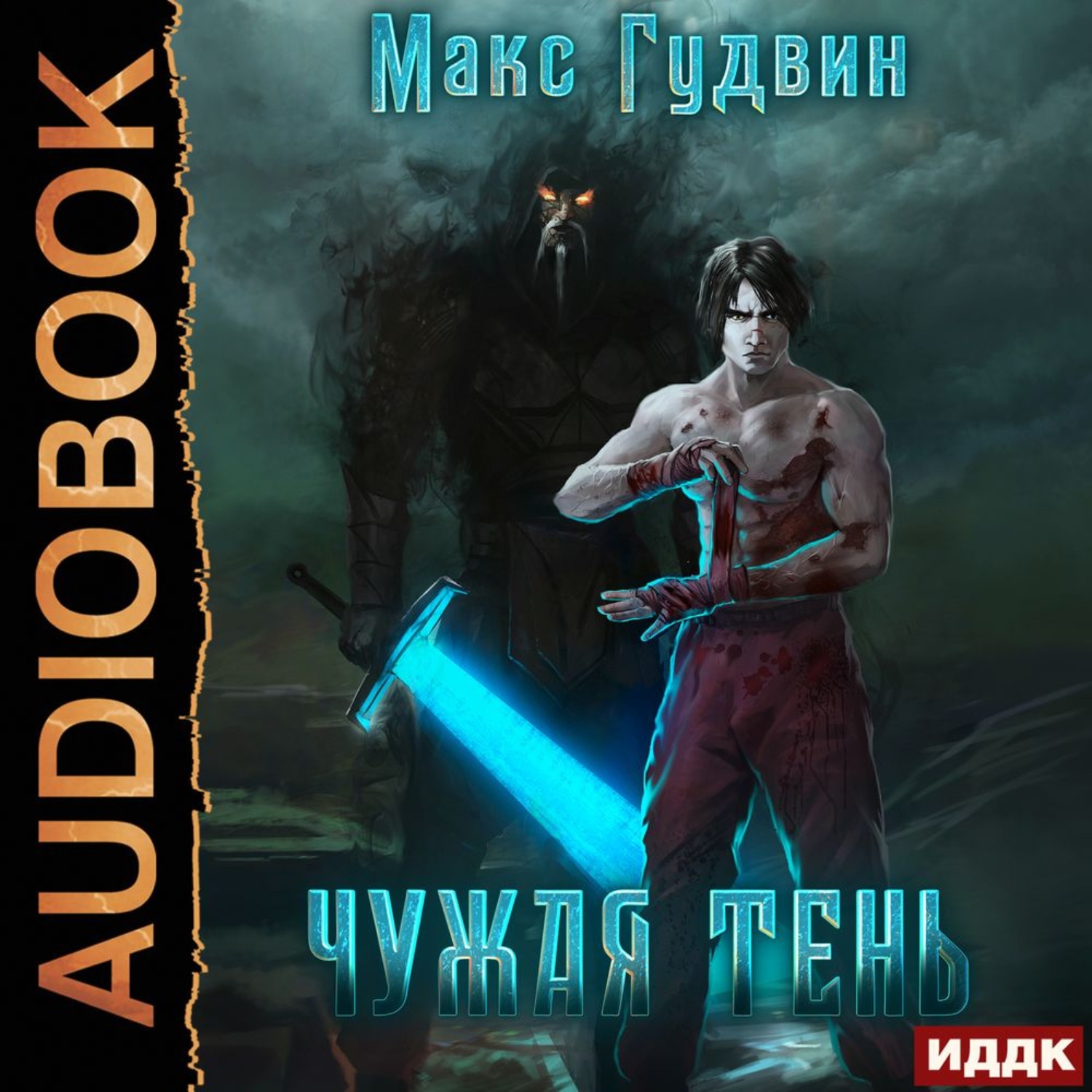 Обложка книги «Чужая тень. Книга 1»